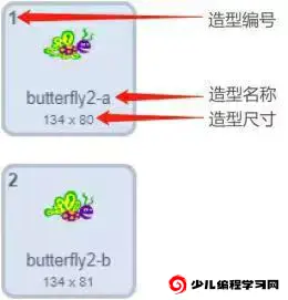 蝴蝶角色的两个造型